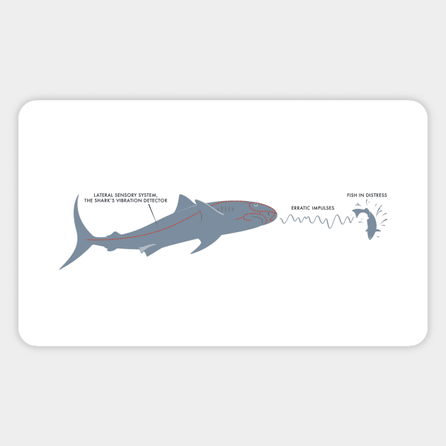 Jaws — Brody's Book Magnet by GraphicGibbon